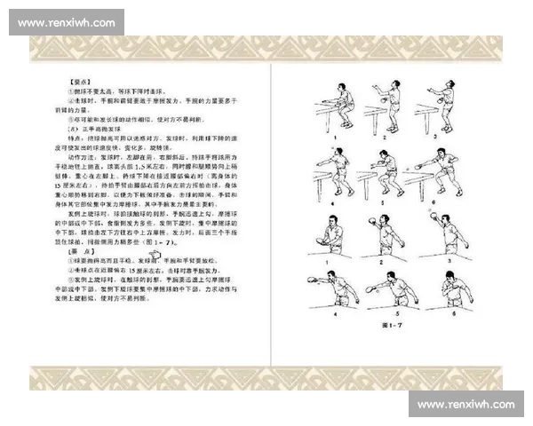 零基础 3 步掌握乒乓球正手攻球：从站位到发力的实战指南